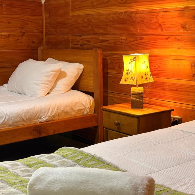 Alpes Hotel - Twin Room - 6