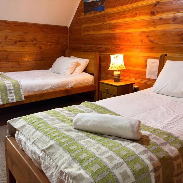 Alpes Hotel - Twin Room - 10