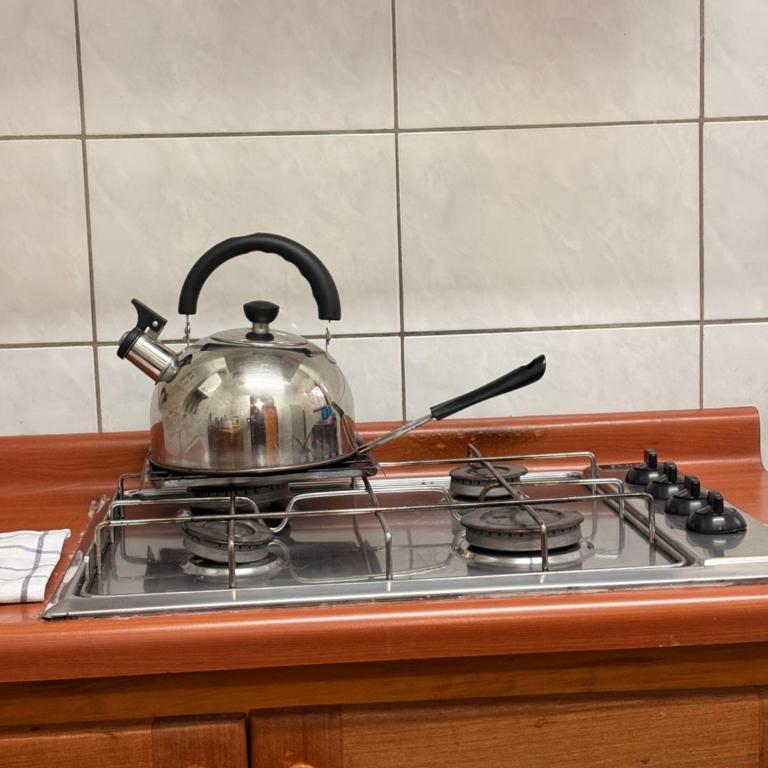Alpes Hotel - Duplex Apartment - 18