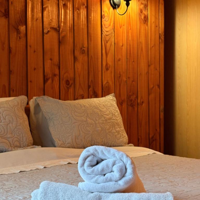 Alpes Hotel - Duplex Apartment - 17