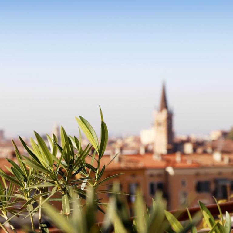Stelle di Verona - Selene - One-Bedroom Apartment - 5