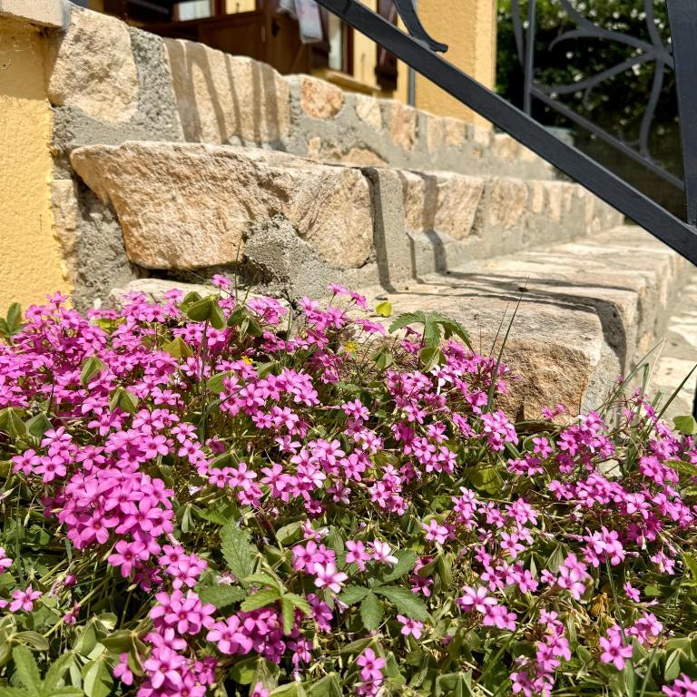 Le Cocon de Vallon - Villa 3 Chambres - 28