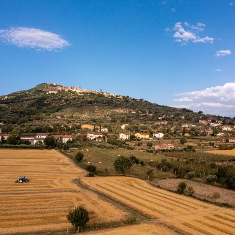 Il Pozzo degli Angeli - Casa con 2 Camere da Letto - 50