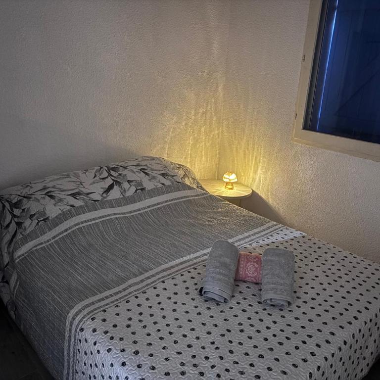 La petite perle de Portiragnes - Maison 2 Chambres - 4