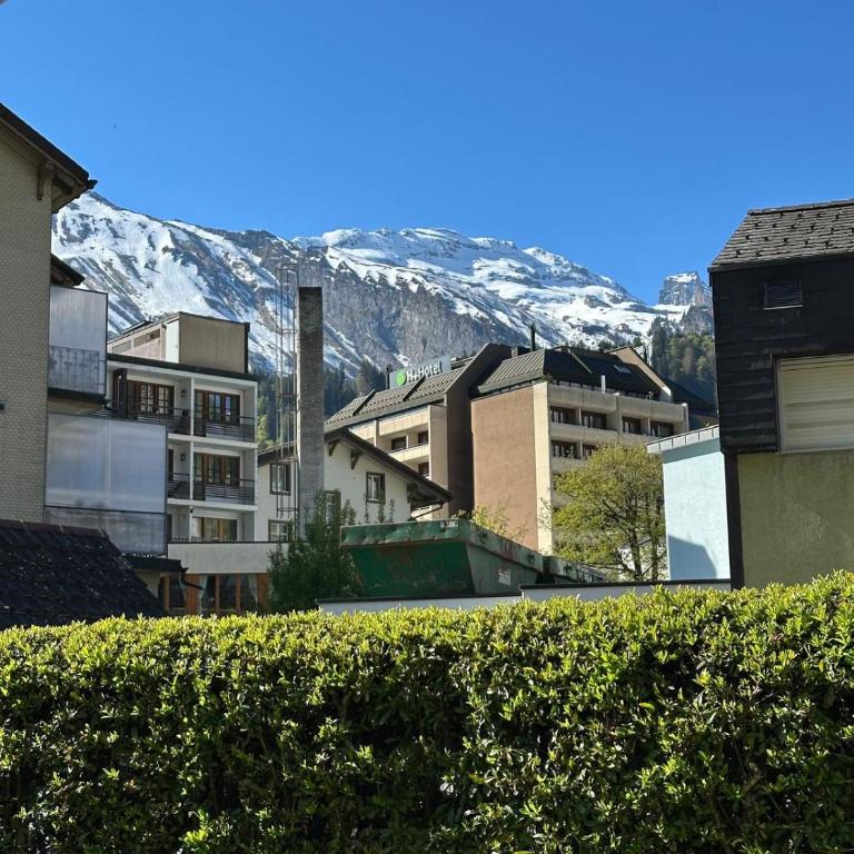 Alpine Nest Tiltlis, Garden, Central, Lucerne - Apartment mit 1 Schlafzimmer - 23