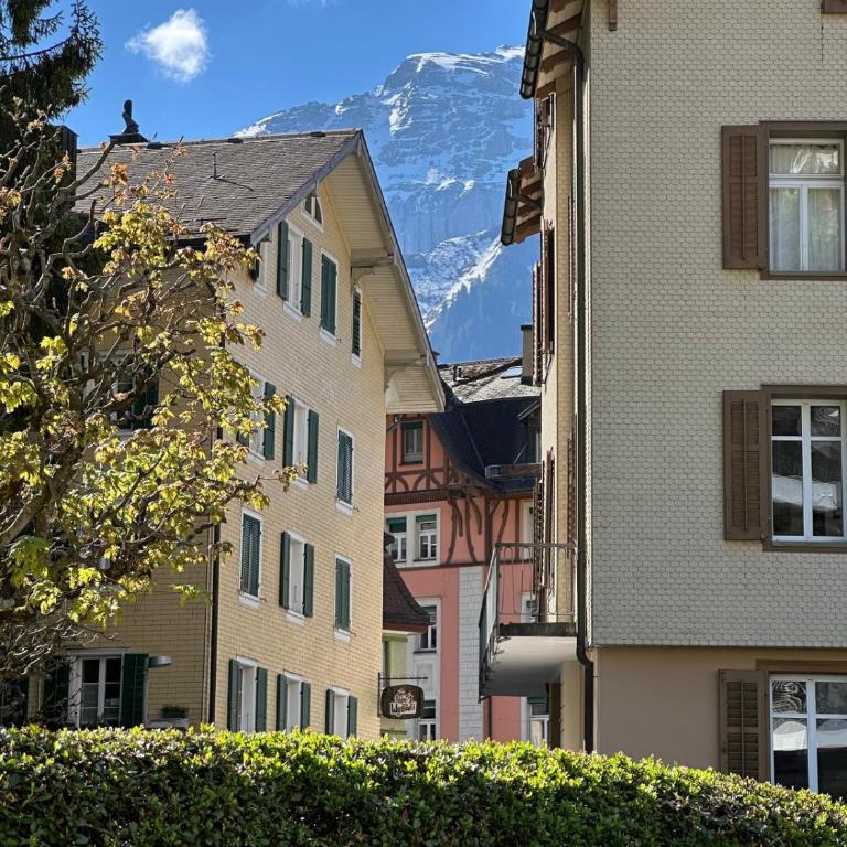 Alpine Nest Tiltlis, Garden, Central, Lucerne - Apartment mit 1 Schlafzimmer - 29