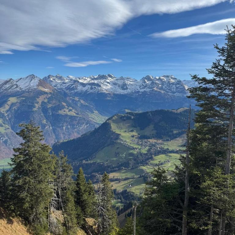 Alpine Nest Tiltlis, Garden, Central, Lucerne - Apartment mit 1 Schlafzimmer - 35