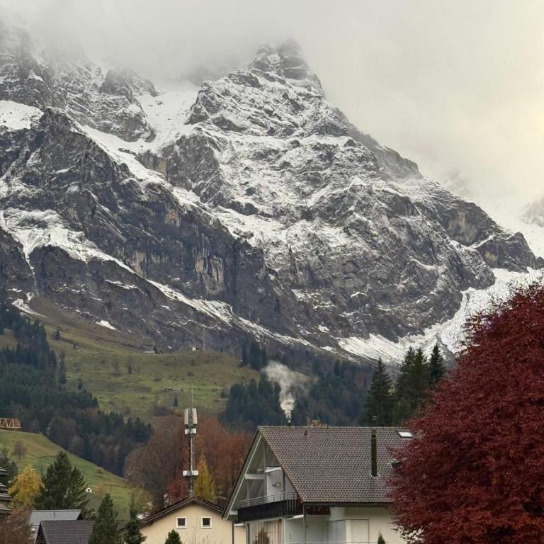 Alpine Nest Tiltlis, Garden, Central, Lucerne - Apartment mit 1 Schlafzimmer - 46