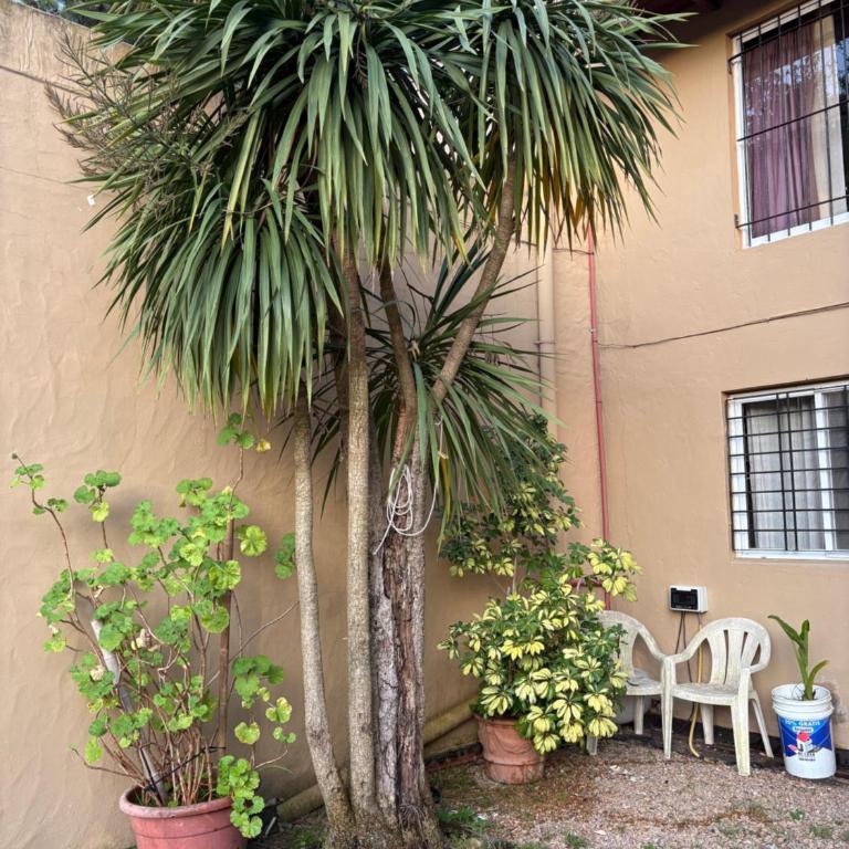 Complejo Hory Mar - One-Bedroom Apartment - 4