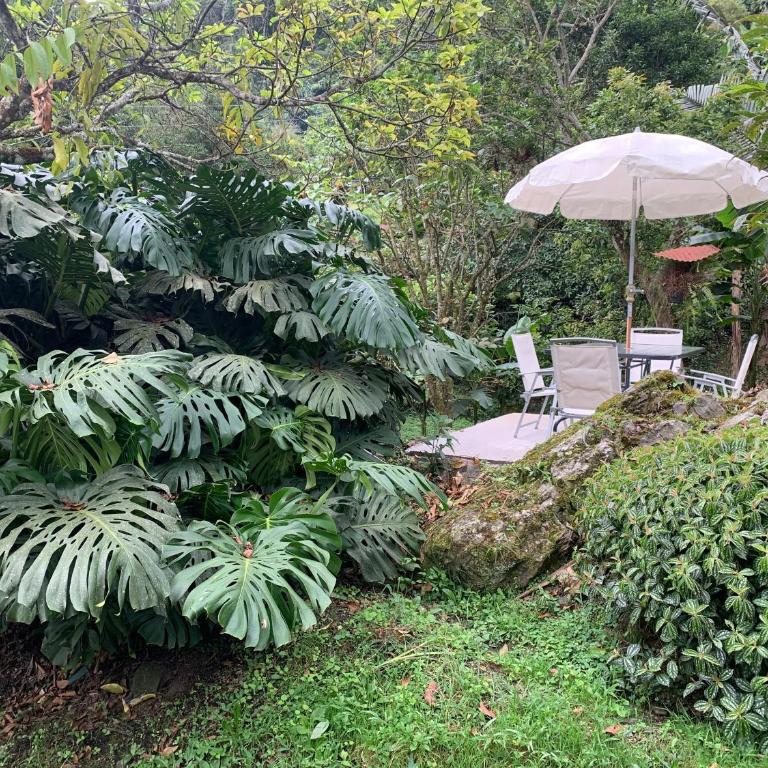 Cabaña Corolaine - One-Bedroom House - 34
