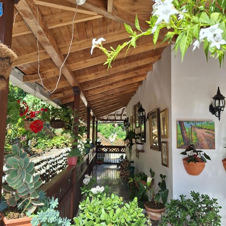 finca nalu - Three-Bedroom House - 14