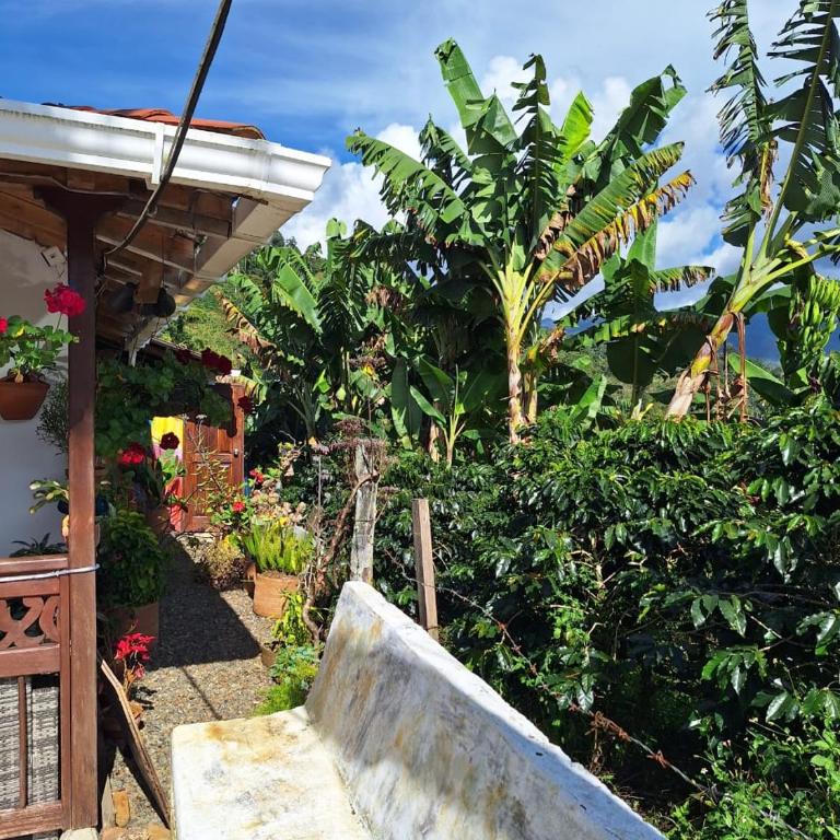 finca nalu - Three-Bedroom House - 19