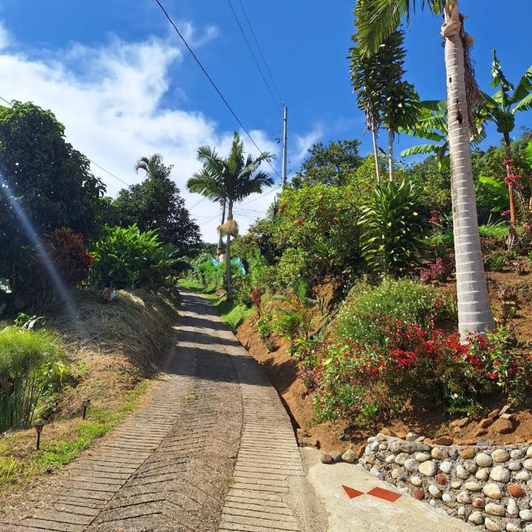 finca nalu - Three-Bedroom House - 18