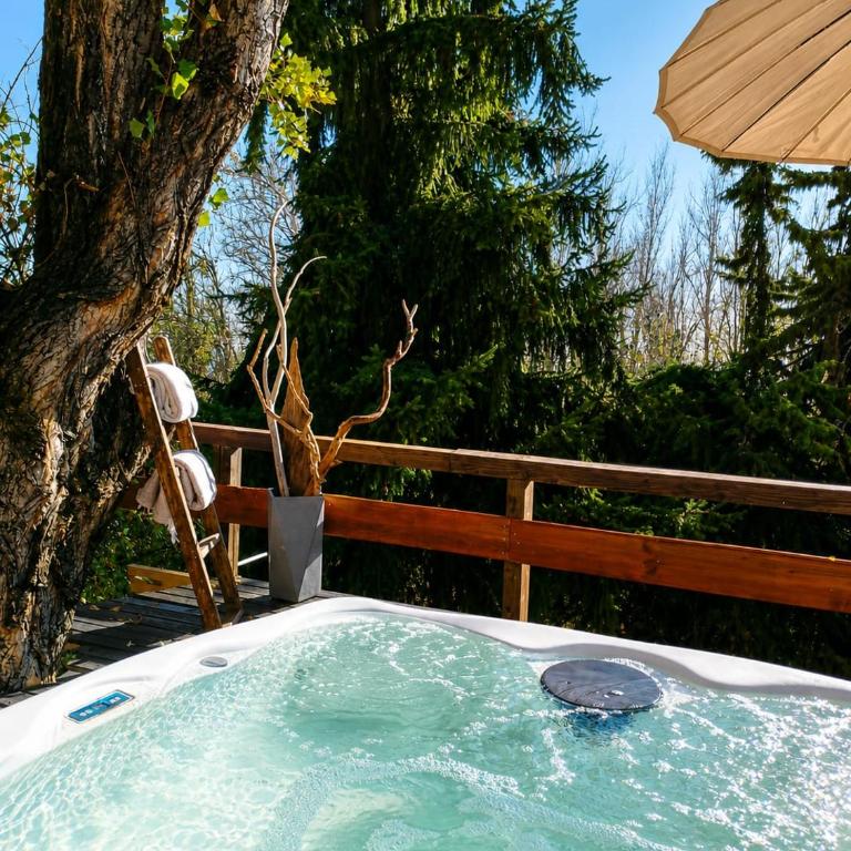 Habitación en refugio acogedor Farellones con jacuzzi, chimenea y naturaleza - Double Room with Private Bathroom - 4
