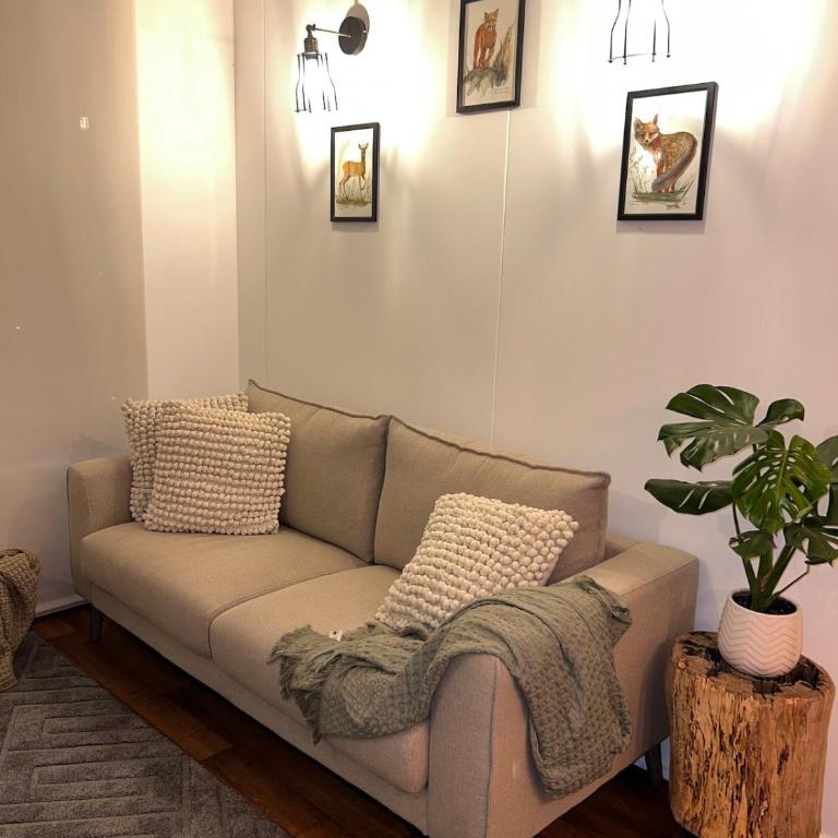 Hermoso Departamento nuevo, con vista al Lago y Volcán Villarrica, Chile - Three-Bedroom Apartment - 50