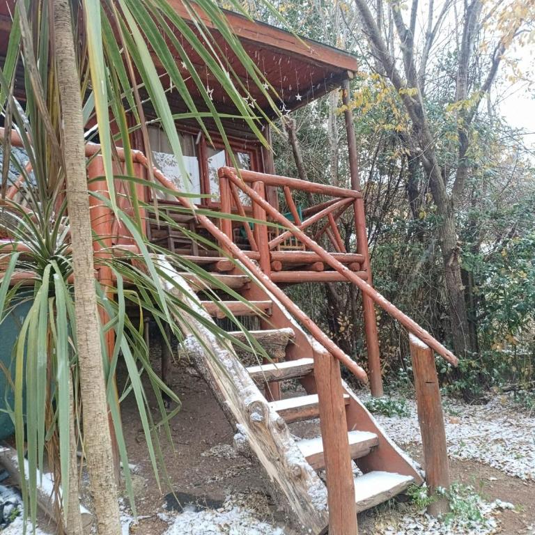 Amphu libedula - Apartamento de 1 dormitorio - 6