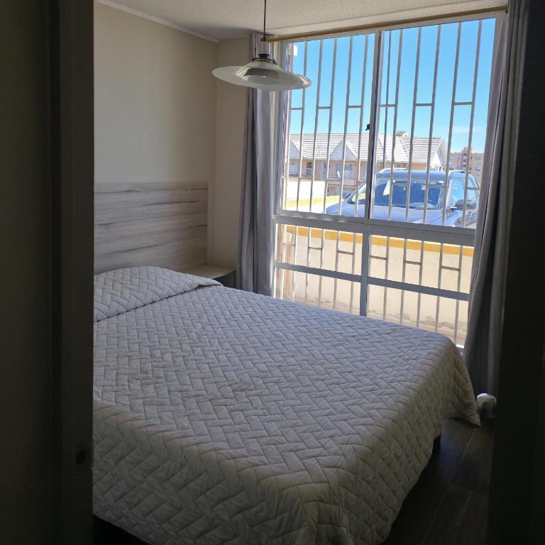 Apartamento Don Rodolfo - Three-Bedroom Apartment - 11