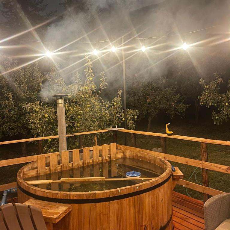 Hotel Pichilemu - One-Bedroom House - 2
