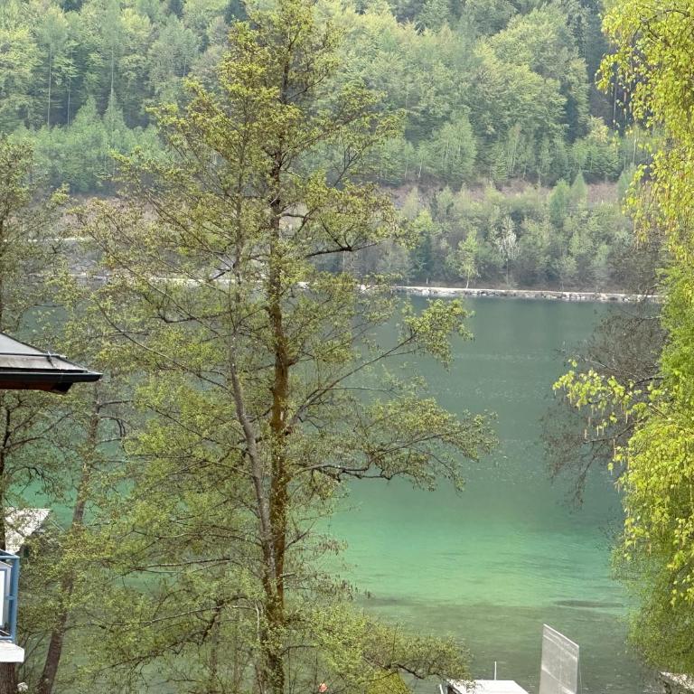 Loving Hut Pension & Vegan Restaurant - Doppelzimmer - 4