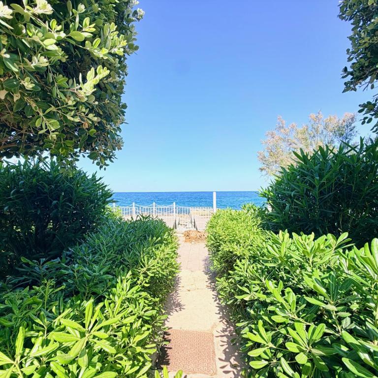 Sette Passi nel Blu - Three-Bedroom House - 47