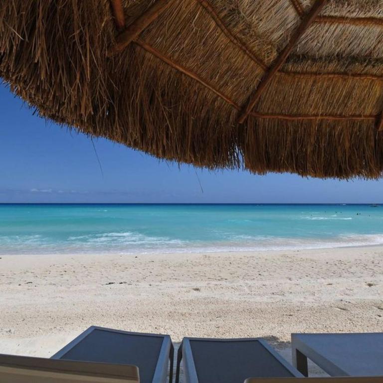 The Riviera Maya And The Caribbean Apartment - Apartamento - 14