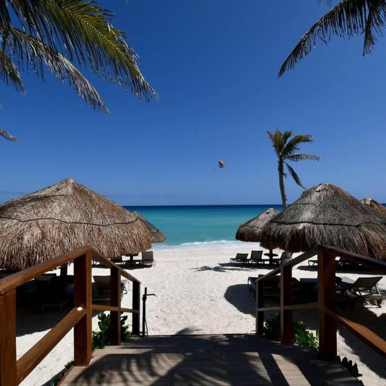 The Riviera Maya And The Caribbean Apartment - Apartamento - 53