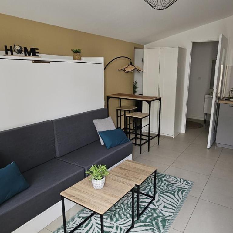 Appartement cosy et calme - Studio Supérieur - 1