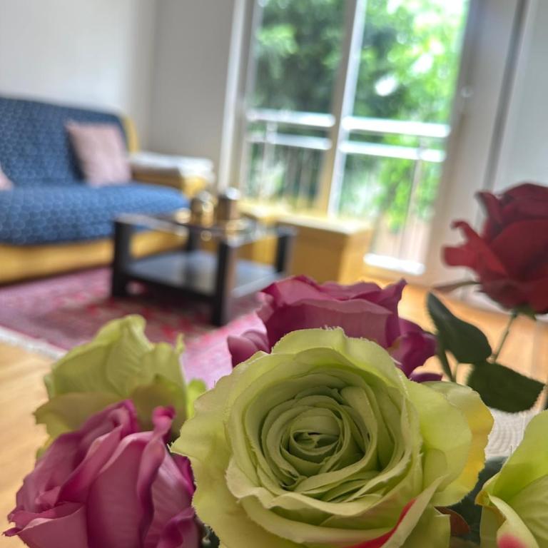 Mercury Apartments Budva - One-Bedroom Apartment - 55