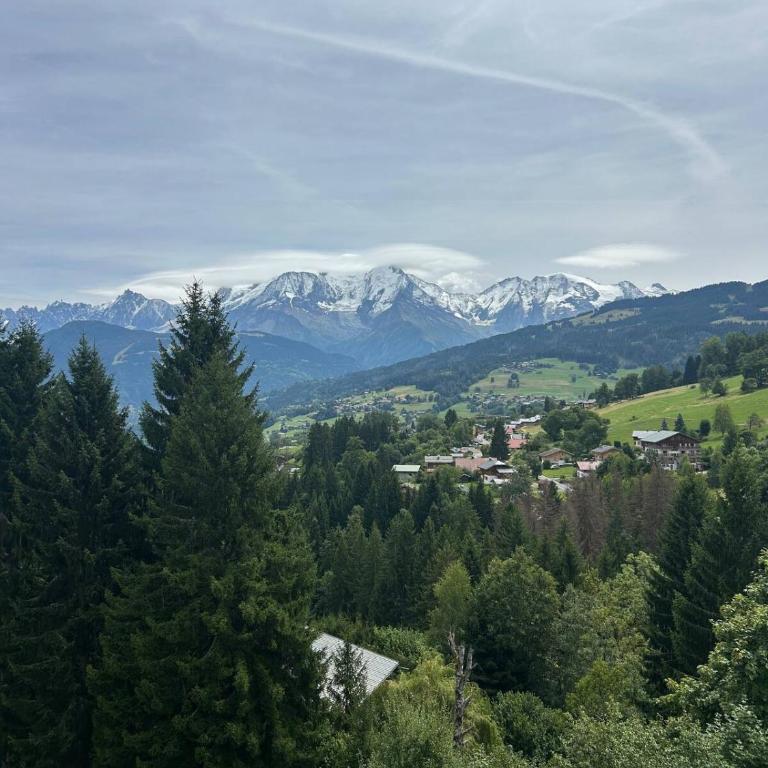 vue époustouflante - Appartement 1 Chambre - 5