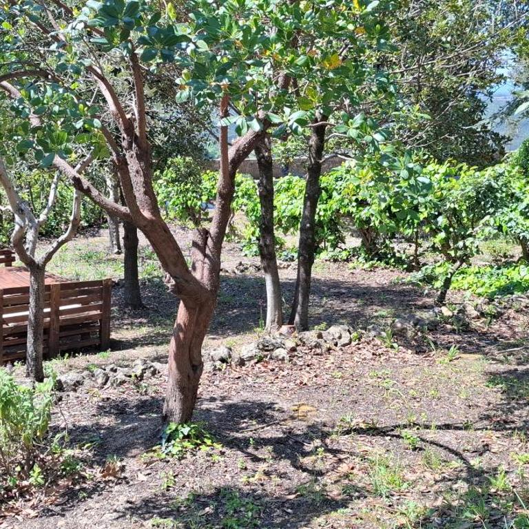 La Terrazza sul Viale - Three-Bedroom House - 18