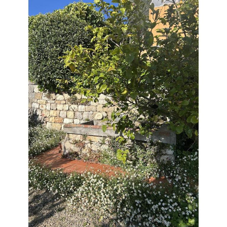 18thC perfumer's home, heated pool & view - Villa 4 Chambres - 25