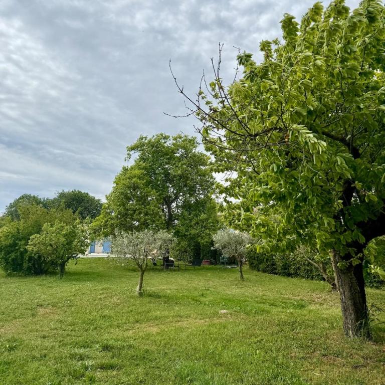 Liorelys in Provence Charming House with Pool - Casa con 3 Camere da Letto - 49