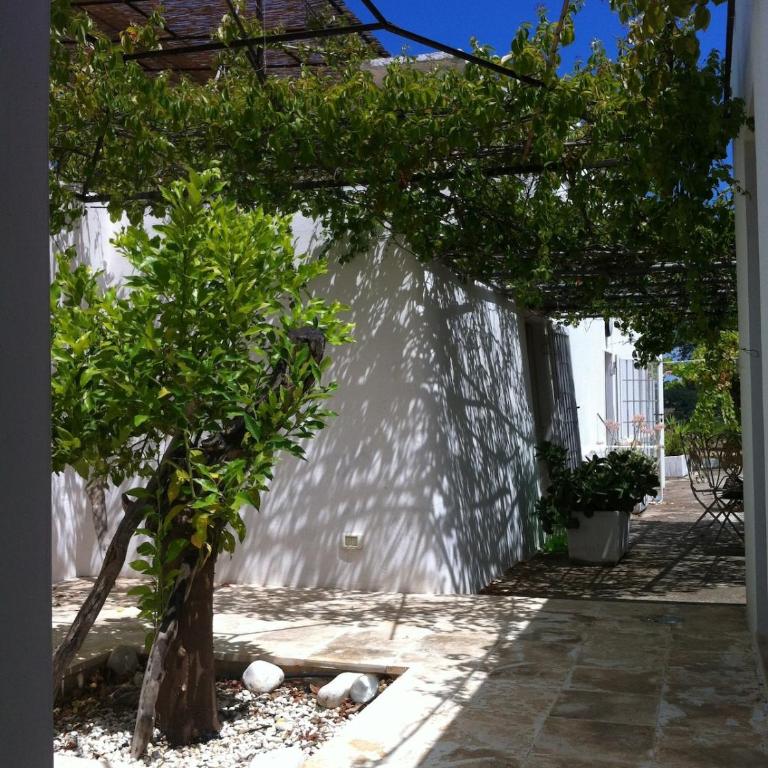 Trullo Armonia a Panoramic Villa with Pool - Villa - 5