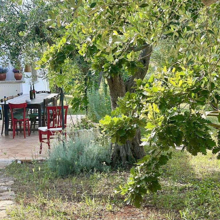 Trullo Armonia a Panoramic Villa with Pool - Villa - 7