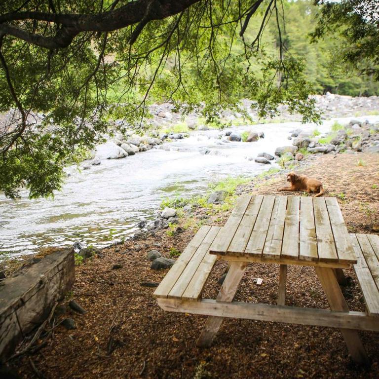 Llaima Camp - Three-Bedroom Bungalow - 32