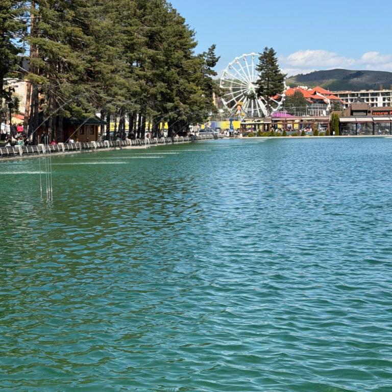 Zlatibor Palisad Hills Residence - Apartman sa 1 Spavaćom Sobom - 14