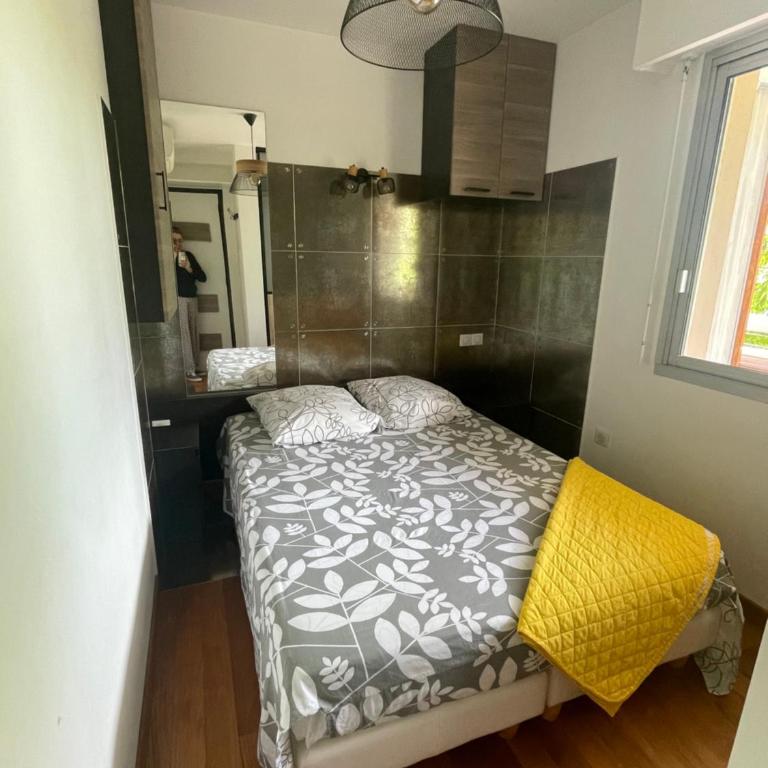Juan les Pins Joli T2 parking inclus! - Appartement 1 Chambre - 4