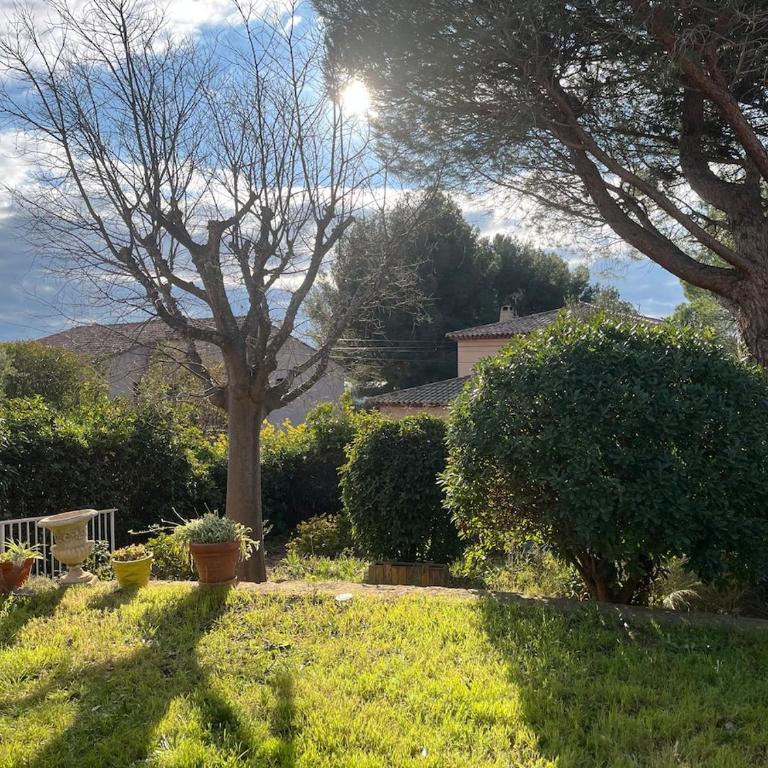 Apartment with garden, close to Capelan cove - Appartement 2 Chambres - Vue sur Jardin - 1