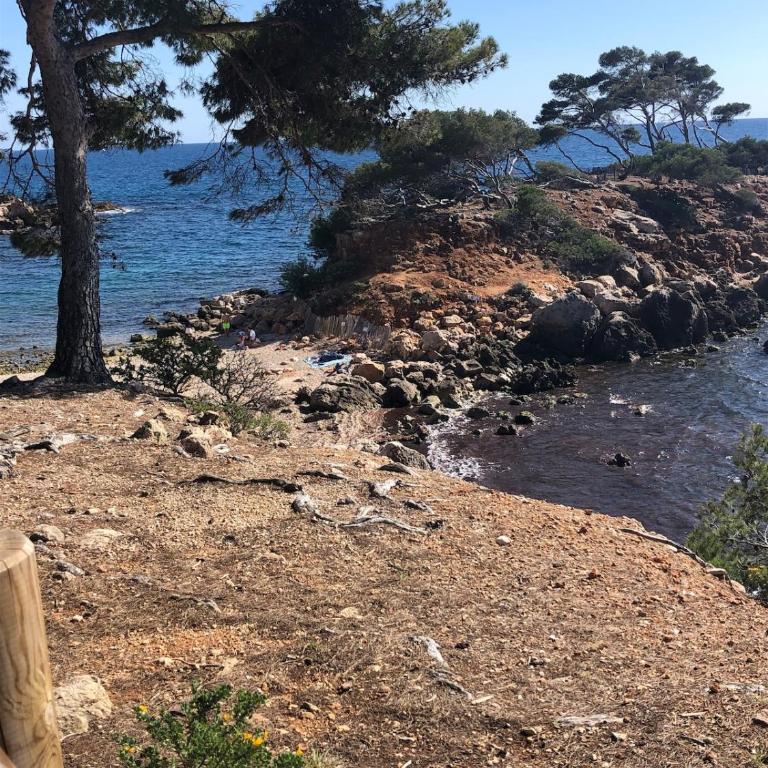 Apartment with garden, close to Capelan cove - Appartement 2 Chambres - Vue sur Jardin - 14