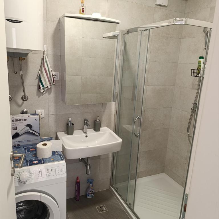 Stan na dan Obilicevo - Apartman sa 1 Spavaćom Sobom - 4