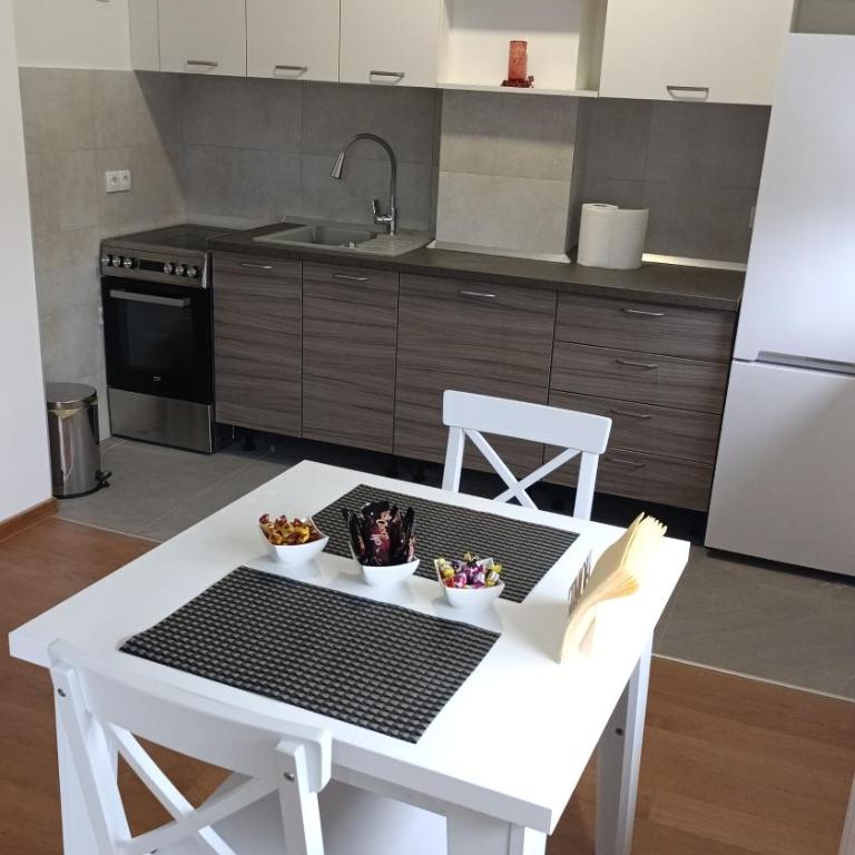 Stan na dan Obilicevo - Apartman sa 1 Spavaćom Sobom - 5