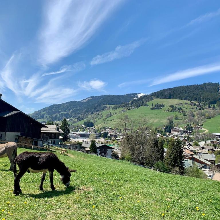 Le Balcon de Megève - Appartamento con 1 Camera da Letto, Balcone e Vista Montagna - 16