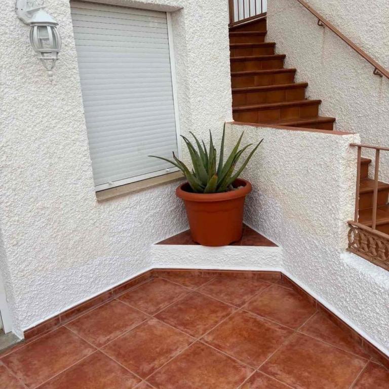 Brisa del Mar - Apartamento de 2 dormitorios - 37