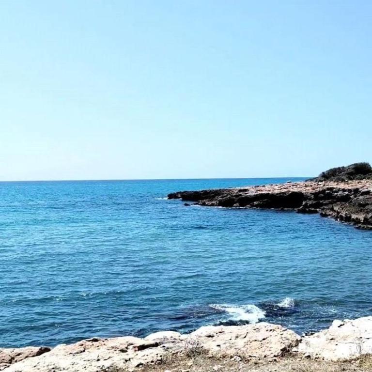 Brisa del Mar - Apartamento de 2 dormitorios - 40