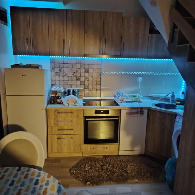 STAZA Zdravlja - Two-Bedroom Apartment - 18