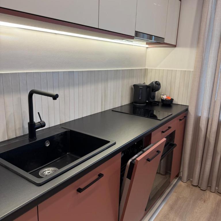 SH Luxury Apartments Sarajevo - Red - One-Bedroom Apartment - 6
