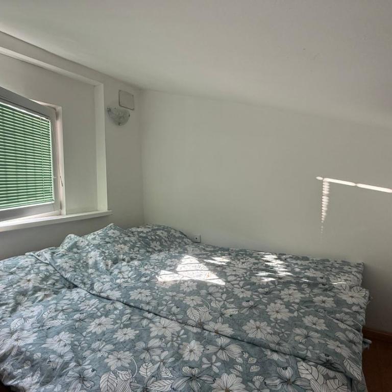 Apartmani Kaldrma - Apartman sa 1 Spavaćom Sobom - 9