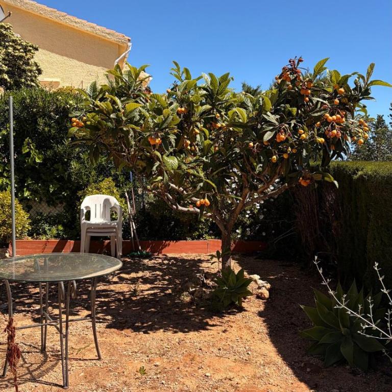 Sunny hideaway El Ranchito garden & terrace - Apartamento de 2 dormitorios - 28