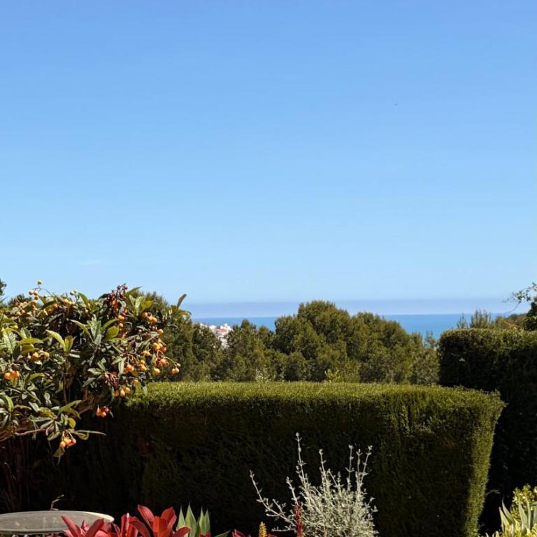 Sunny hideaway El Ranchito garden & terrace - Apartamento de 2 dormitorios - 36