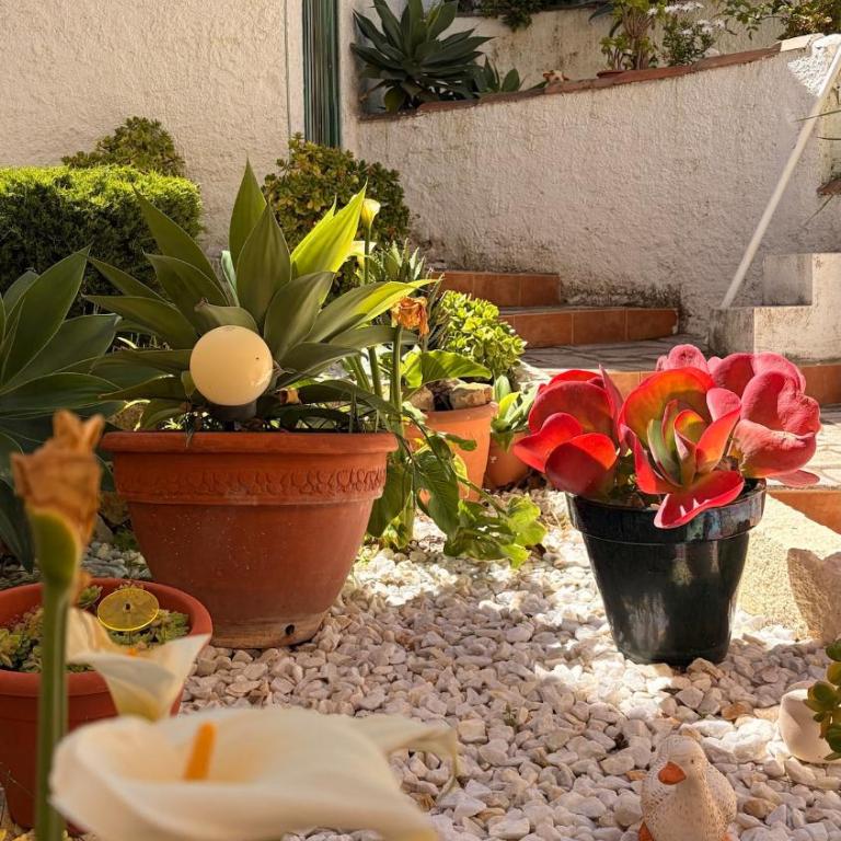 Sunny hideaway El Ranchito garden & terrace - Apartamento de 2 dormitorios - 55